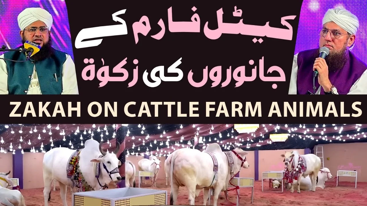 Cattle Farm Ke Janwaroon Ki Zakat Daini Hogi Ya Nahi?